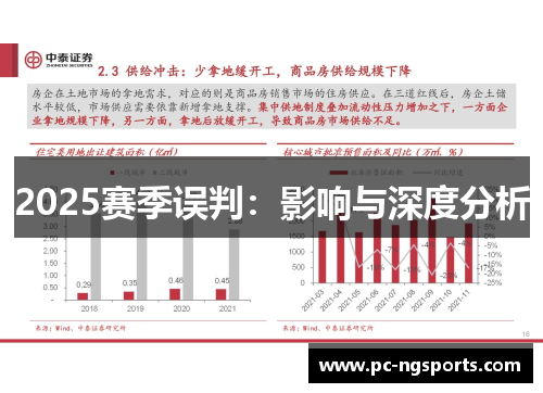 2025赛季误判：影响与深度分析