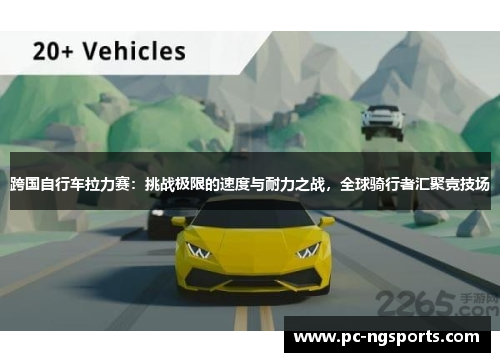 跨国自行车拉力赛：挑战极限的速度与耐力之战，全球骑行者汇聚竞技场
