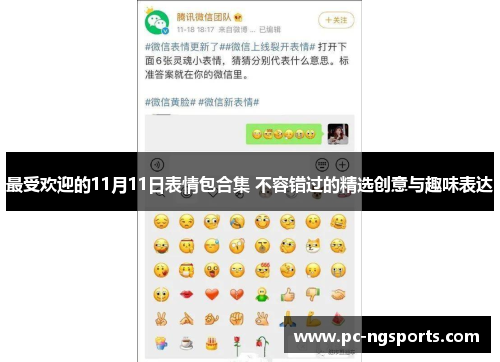 最受欢迎的11月11日表情包合集 不容错过的精选创意与趣味表达