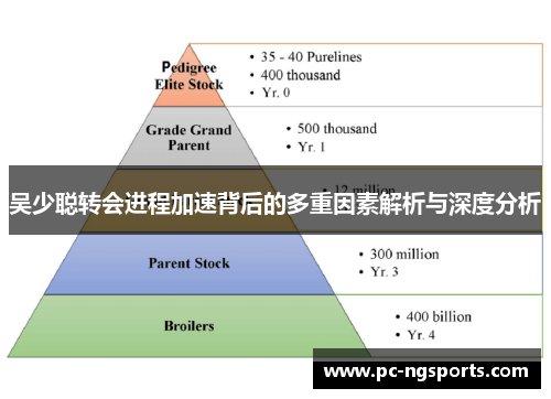 吴少聪转会进程加速背后的多重因素解析与深度分析