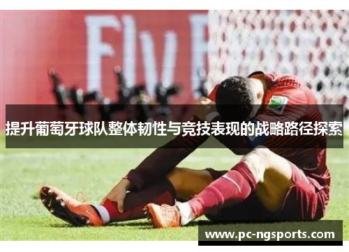 提升葡萄牙球队整体韧性与竞技表现的战略路径探索